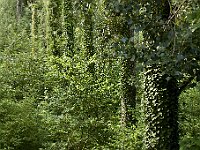 0709 - 03 : Europe, France, Places, Radonvilliers, SJC - 2008, Voyages, zzLocalisations GPS