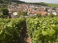 0704 - 10 : Europe, France, Places, SJC - 2008, Verzenay, Voyages, zzLocalisations GPS