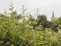 0630 - 02 : Bourg Fidele, Bourg-Fidèle, Europe, France, Places, SJC - 2008, Voyages, zzLocalisations GPS