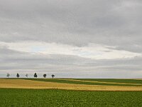 0705 - 03 : Conde Sur Marne, Condé-sur-Marne, Europe, France, Places, SJC - 2008, Voyages, zzLocalisations GPS