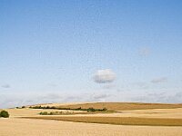0707 - 06 : Europe, France, Glannes, Places, SJC - 2008, Voyages, zzLocalisations GPS