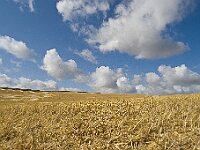 0707 - 09 : Blaise Sous Arzillieres, Blaise-sous-Arzillières, Europe, France, Places, SJC - 2008, Voyages, zzLocalisations GPS