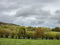 SJC 2024 - 0556-2