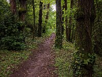 SJC 2024 - 0628-2