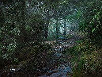 SJC 2024 - 0402-Avec accentuation-Bruit