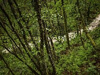 SJC 2024 - 0574