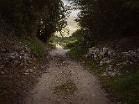 SJC 2024 - 0864