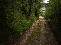 SJC 2024 - 0881