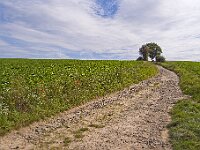 R0011661 - conv
