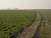 100 1495 - conv