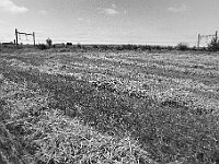 100 1461 - Conv