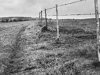 R0011674 - conv