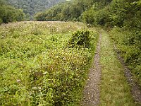 R0011684 - conv