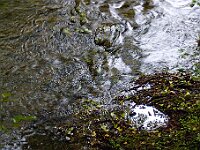 R0011690 - conv