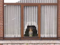 R0011714 - conv