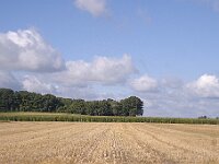 R0011720 - conv