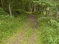 R0011740 - conv