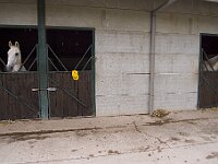 R0011745 - conv