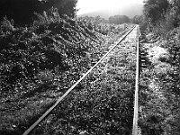 R0011754 - conv