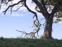 R0011755 - conv