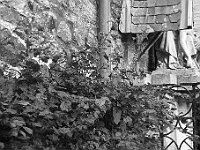 R0011765 - conv