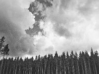 R0011767 - conv
