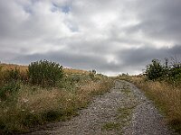 SJC 2024 - 5209