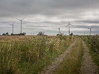 SJC 2024 - 5212