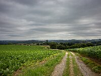 SJC 2024 - 5225