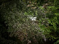 SJC 2024 - 5289