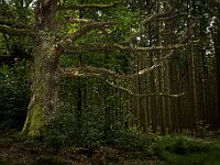 Rocroi - Vierves-sur-Viroin