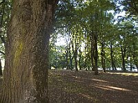 0715 - 18 : Europe, France, Places, SJC - 2008, Vezelay, Voyages, zzLocalisations GPS