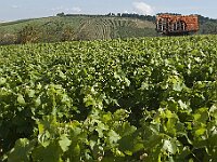 0714 - 11 : Bailly, Champs Sur Yonne, Europe, France, Places, SJC - 2008, Voyages, zzLocalisations GPS