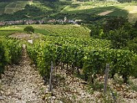 0714 - 17 : Europe, France, Irancy, Places, SJC - 2008, Voyages, zzLocalisations GPS