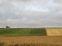0712 - 02 : Bagneux La Fosse, Bragelogne-Beauvoir, Europe, France, Places, SJC - 2008, Voyages, zzLocalisations GPS
