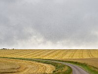 0712 - 04 : Balnot La Grange, Bragelogne-Beauvoir, Europe, France, Places, SJC - 2008, Voyages, zzLocalisations GPS