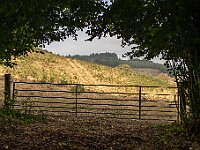 SJC 2018 - 538 : LensTagger
