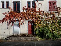 La Tripterie - Velles