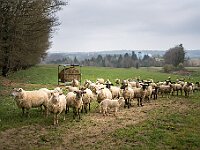 SJC 2019 - 0118 : LensTagger