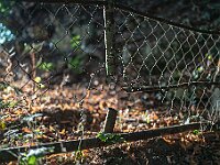 SJC 2018 - 055 : LensTagger
