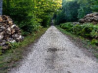 SJC 2018 - 062 : LensTagger