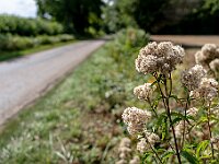 SJC 2018 - 083 : LensTagger