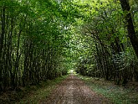 SJC 2018 - 086 : LensTagger