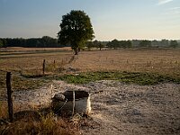 SJC 2018 - 344 : LensTagger