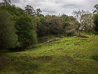 SJC 2024 - 0985