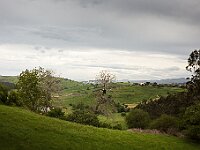 SJC 2024 - 1008
