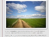 Blog 33