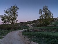 SJC 2019 - 2026 : LensTagger