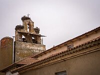 SJC 2019 - 2505 : LensTagger