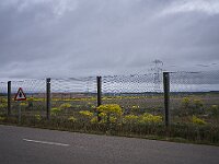 SJC 2019 - 2385 : LensTagger